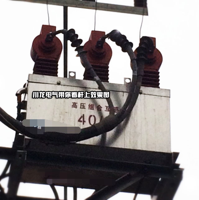 <b>YFJLSZ-10高壓預(yù)付費計量開關(guān)ZW32J</b>