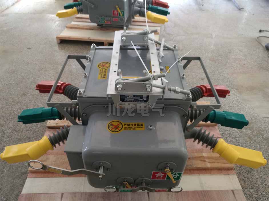 <b>ZW20真空斷路器帶看門狗分界開關(guān)</b>