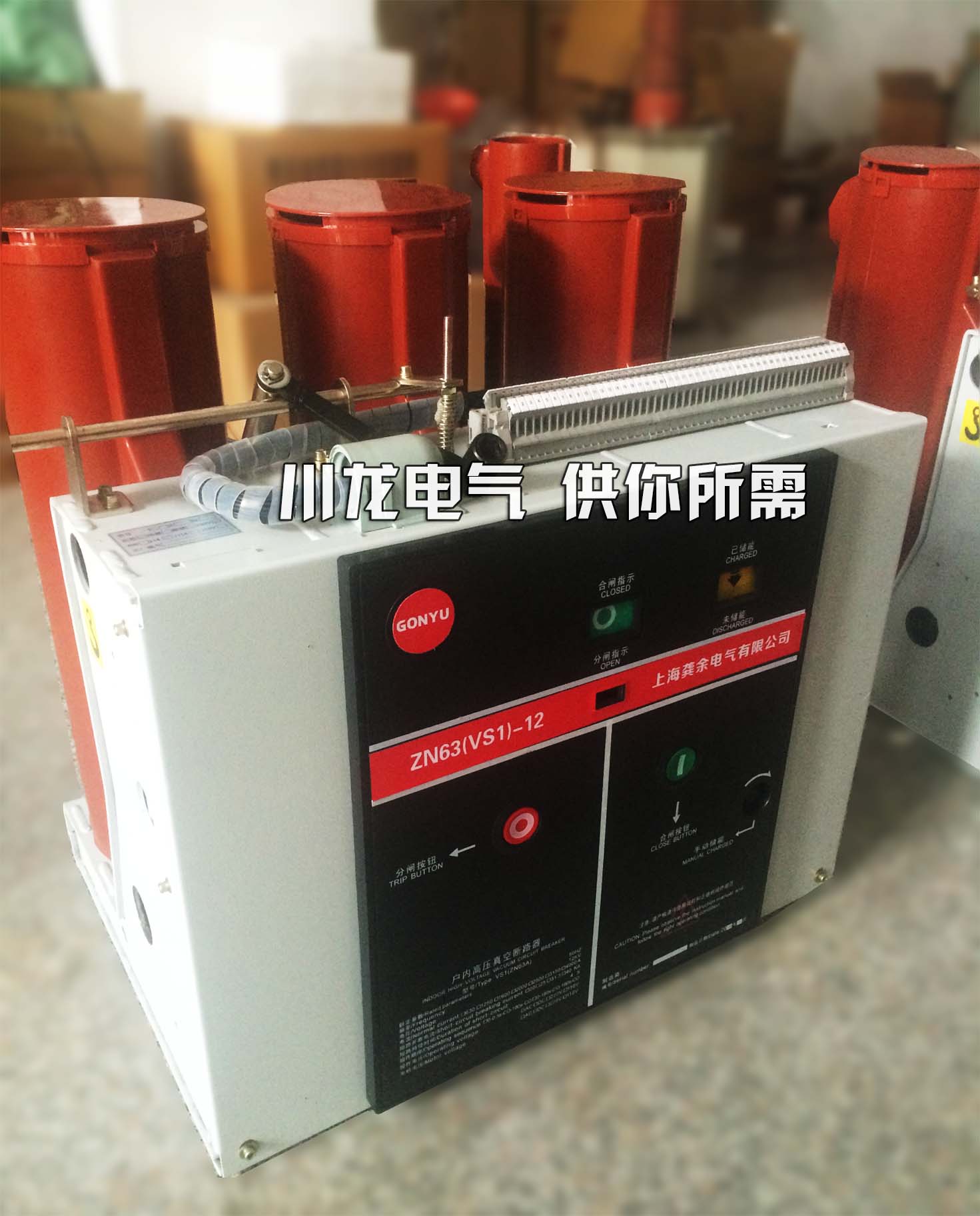 <b>ZN73-12戶(hù)內(nèi)高壓真空斷路器VGYM-12</b>