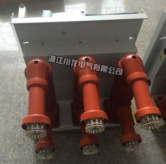 VS1固封式真空斷路器